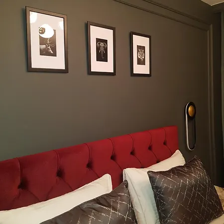 Selenayy Laleli * Stambuł