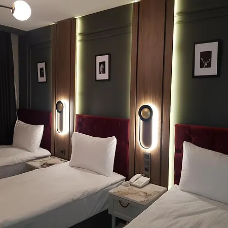 Selenayy Laleli Istanbulská provincie