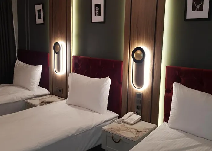 Selenay Hotel Istambul